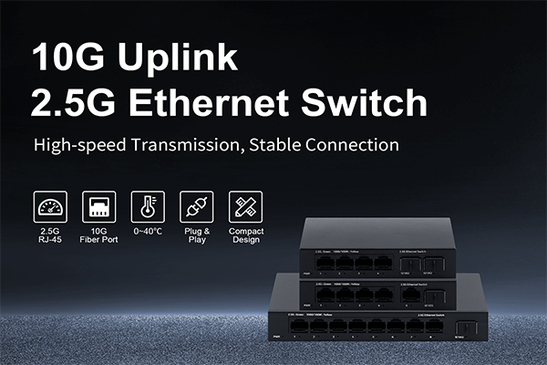 HRUI 10G Uplink 2.5G Ethernet Switch